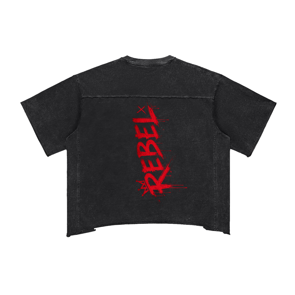 Raw Edge Snow Washed Boxy T-Shirt